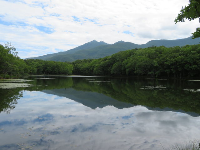 �l��_�I�z�[�c�N���R��