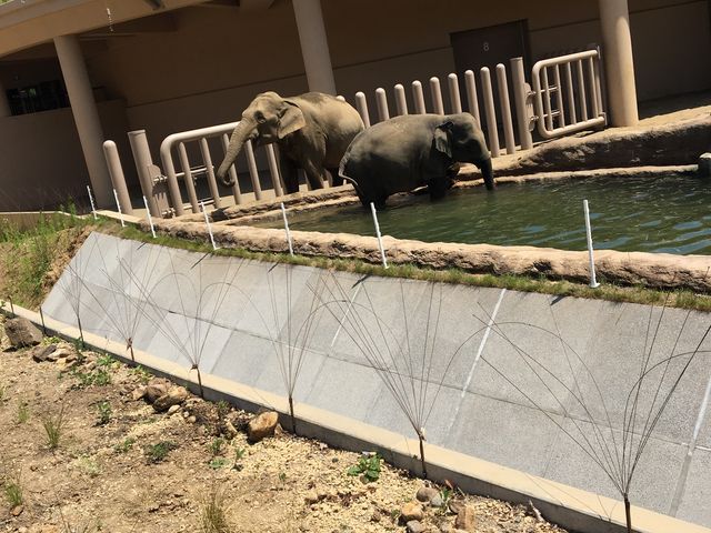 �]�E����_�~�R������