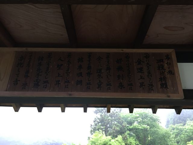 M̔ѕƉ^ꂽŔB_锒̑