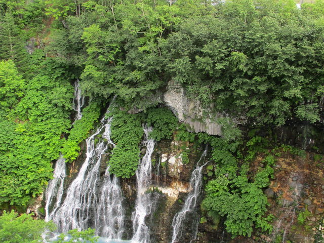 ���Ԃ̔��Ђ��̑�_���Ђ��̑�