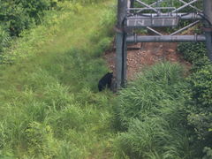 ĎRq̒Jxbz by 샊][gւ̓eʐ^1