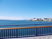 nobo 23p̏]񂶌Ή̓eʐ^2