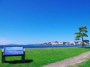 nobo 23p̏]񂶌Ή̓eʐ^3