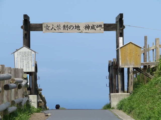 ���������́A���l�֐��H�i���͖������Ă悢�j_�_�Ж�