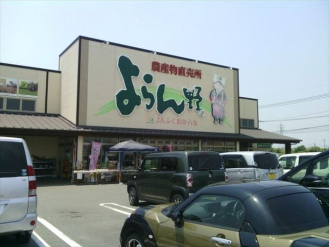 ��ۓI�ȊŔ�_�_�Y�������������