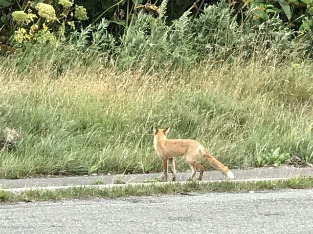 �L�^�L�c�l�����ԏ�ɁI
�����ɗ�������܂������k�C���ɗ��Ă�[�I�ƁB_���{�Ŗk�[�̒n�̔�