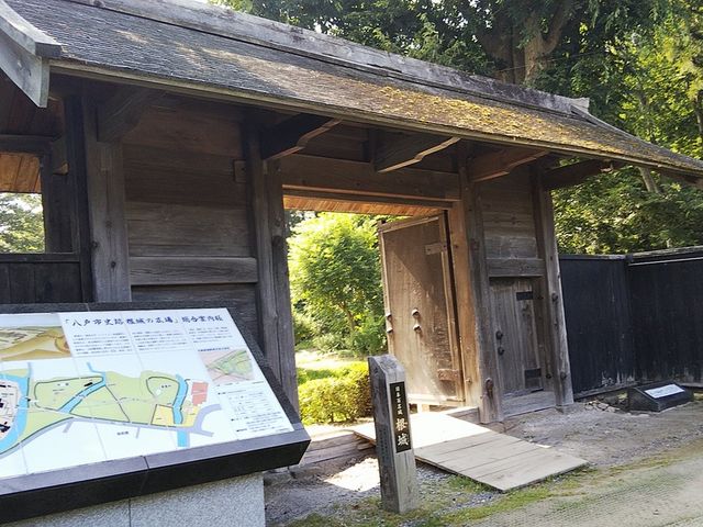 ��_�����