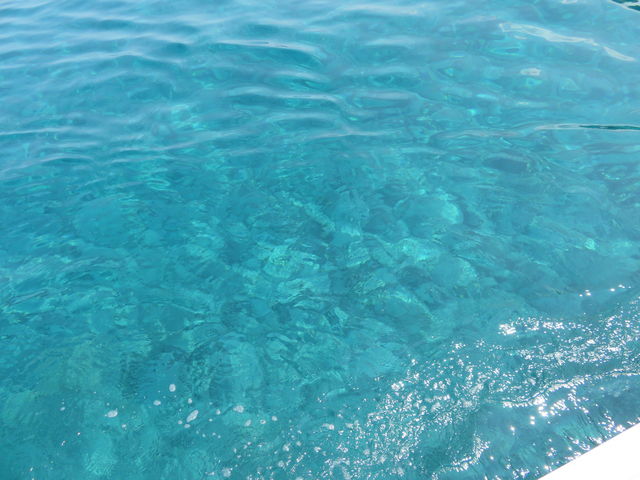 �X�^�[�g����ɂ����Ȃ�̐ϒO�u���[�I_�����W�]�D��j���[���Ⴑ���񍆣