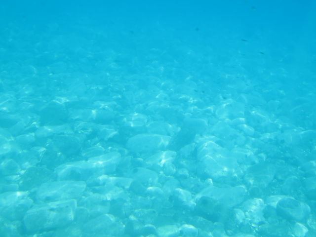 �����ɂ͂�����Ƃ���������_�����W�]�D��j���[���Ⴑ���񍆣