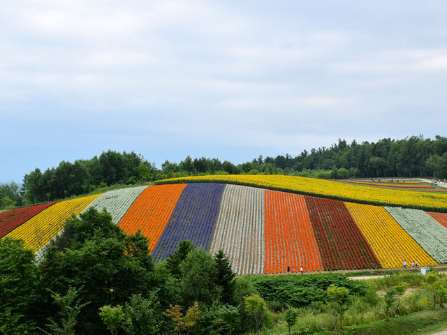 �l�G�ʂ̋u_�l�G�ʂ̋u