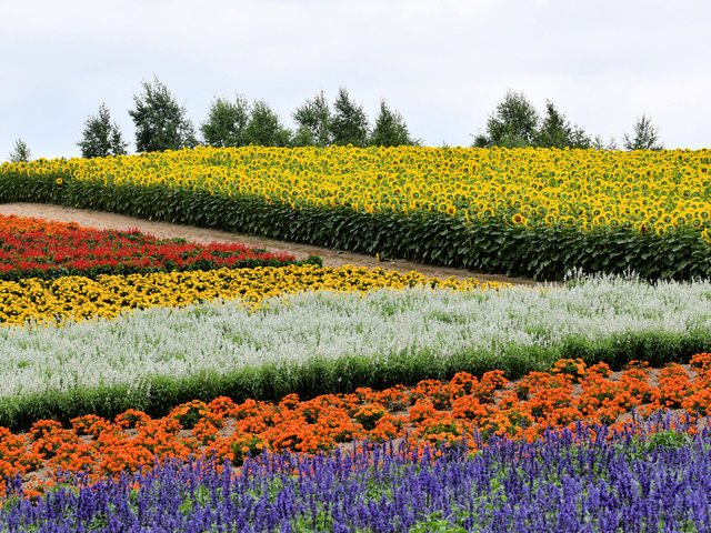 �l�G�ʂ̋u_�l�G�ʂ̋u