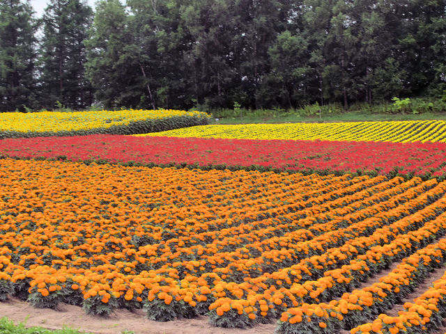 �l�G�ʂ̋u_�l�G�ʂ̋u