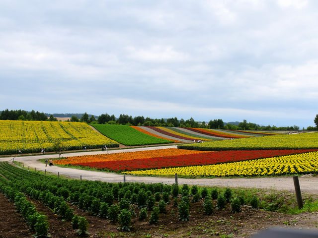 �l�G�ʂ̋u_�l�G�ʂ̋u