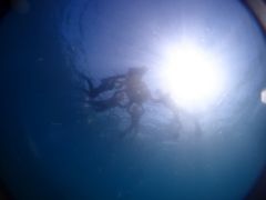 肦҂񂳂̃u[A[X21F{ւ̓eʐ^1