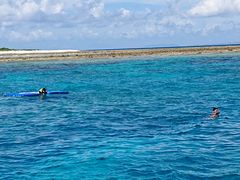 ̌cǊ(P})C攼cA[X@OPGւ̓eʐ^1