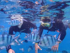 ̐̓A@Dive@ւ̓eʐ^1