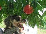 ɂɂɂɂ̂܃t[cό̓eʐ^1