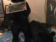 �܂�܂邳��̌F�̓�����i���쌧�R�m�����j�̓��e�ʐ^1