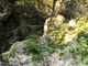 みばさんの神戸岩の投稿写真1