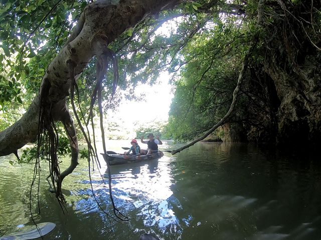 �i�ς̃o���G�[�V�������L�x�Ńt�H�g�X�|�b�g���ڂł����B_�Ί_���J�k�[�c�A�[�E�r��