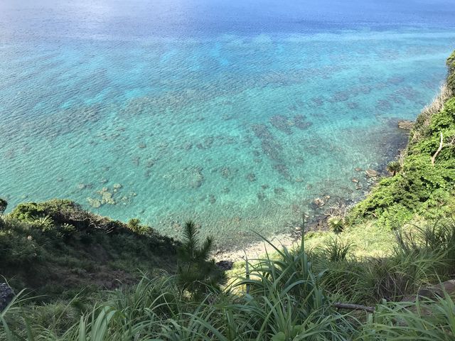 �r������ȊC������܂�_�{�Í�