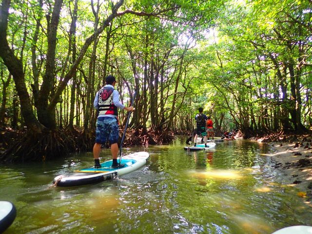 ���₩�ȗ���B  �J�k�[��SUP�ł������ƁB���ۂŃJ�j���菵�����Ă܂��B_���\���R�����u�X