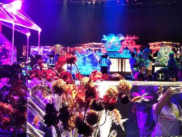 �z�[���S��_���{���O��z�[��