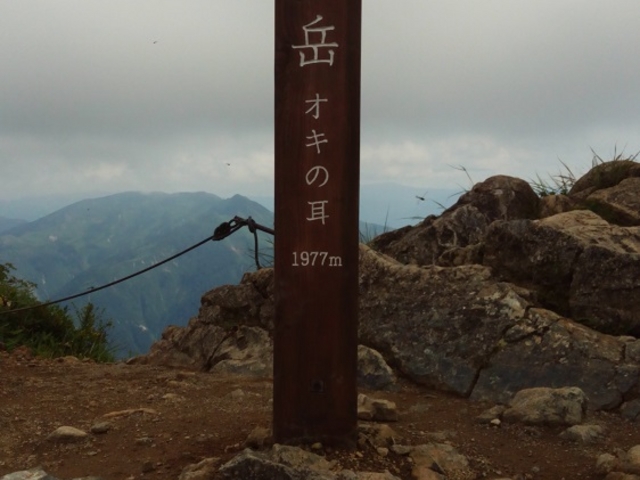 �I�L�̎�_�V�_��