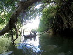 riettu̐Ί_Jk[cA[ErԂւ̓eʐ^1