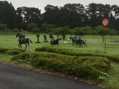 �叫����̓��̉w �݂��� �l��ˋL�O�ό����u����n�ρ`���v�ւ̓��e�ʐ^1