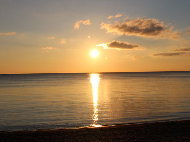 �X�����z_���̉w �]��