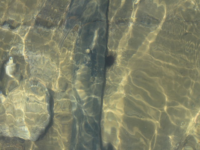 �|�`���Ɖ_�O_���K��