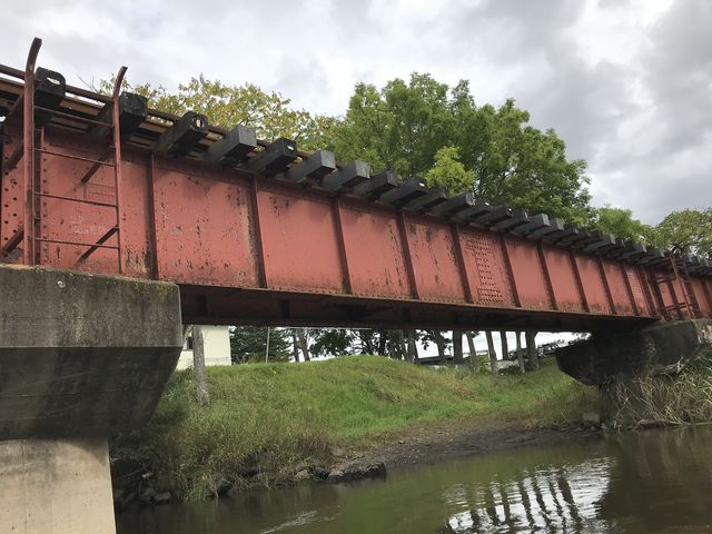 ���H�̓S���̉��̐���������̂́A�J�k�[�c�A�[�Ȃ�ł͂ł��ˁB_������ЃJ�k�[�v��