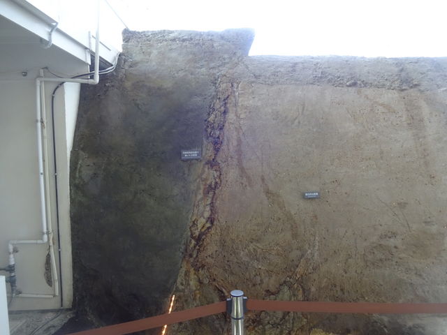 �f�w_�k�W�k�ЋL�O�����@�쓇�f�w�ۑ���