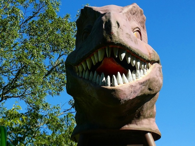 �ޗǌ��E�F�Ɏs�E�Y���E�����Y���q���̂�������E�����̍�_�����Y���q���̂�������䂤�䂤