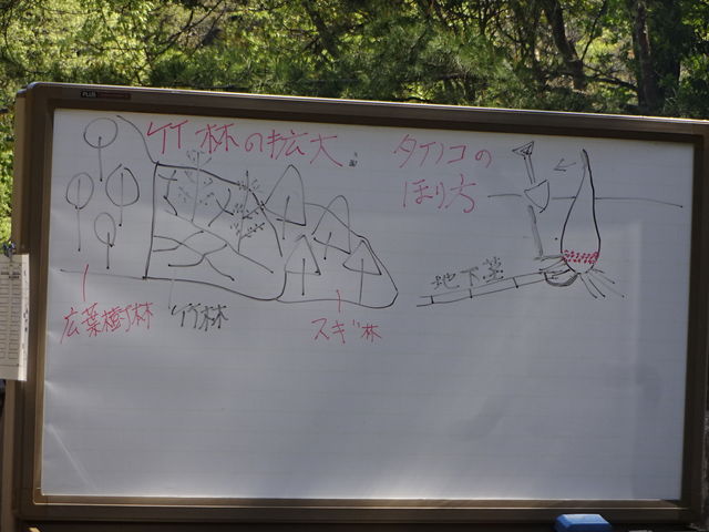 ����_�O�؎R�X�ь���