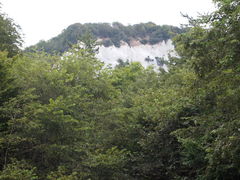 ˂񂳂̓{LjIւ̓eʐ^1