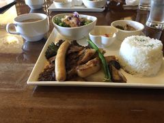 mihõ`EGp\ւ̓eʐ^1