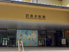 �z�n�I���W����̋{�������فu�݂₶�}�����v�ւ̓��e�ʐ^1