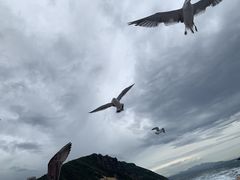 JY̏M̓A@{N[Yւ̓eʐ^1