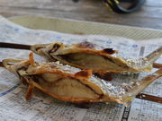 ^Jm͓̑܂߂̗̓eʐ^1