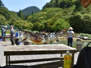 ^Jm͓̑܂߂̗̓eʐ^4