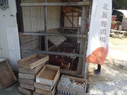 Ђ낳̖k₽܂̓eʐ^5