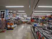 ˂񂳂̊C̉wǂEʁE̓eʐ^4