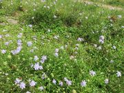 Ă̑R܂݂Xm[p[N̓eʐ^3