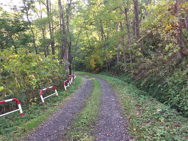 ������������������ԏ�܂ł̓��B�E�̎R�����琅����ʂɗ���Ă��܂���_�����Y�R�X�ь���