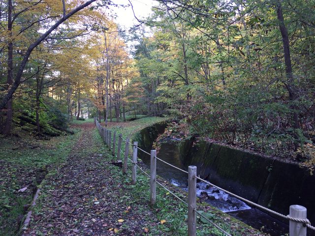 �쉈���̎U���H_�����Y�R�X�ь���