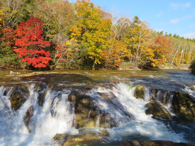 �^���ʂ���_���i�C�A�K����