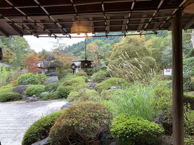 ���r�[���A���g���łƂĂ�������B�������Ƙa�َq�̃T�[�r�X���C���オ��܂����B_�^�؉���