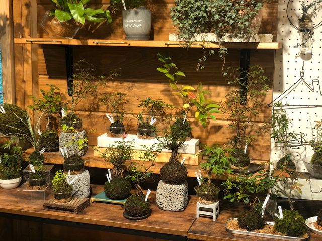 XXeLłB_ȗ΂̃CeA@ۉ